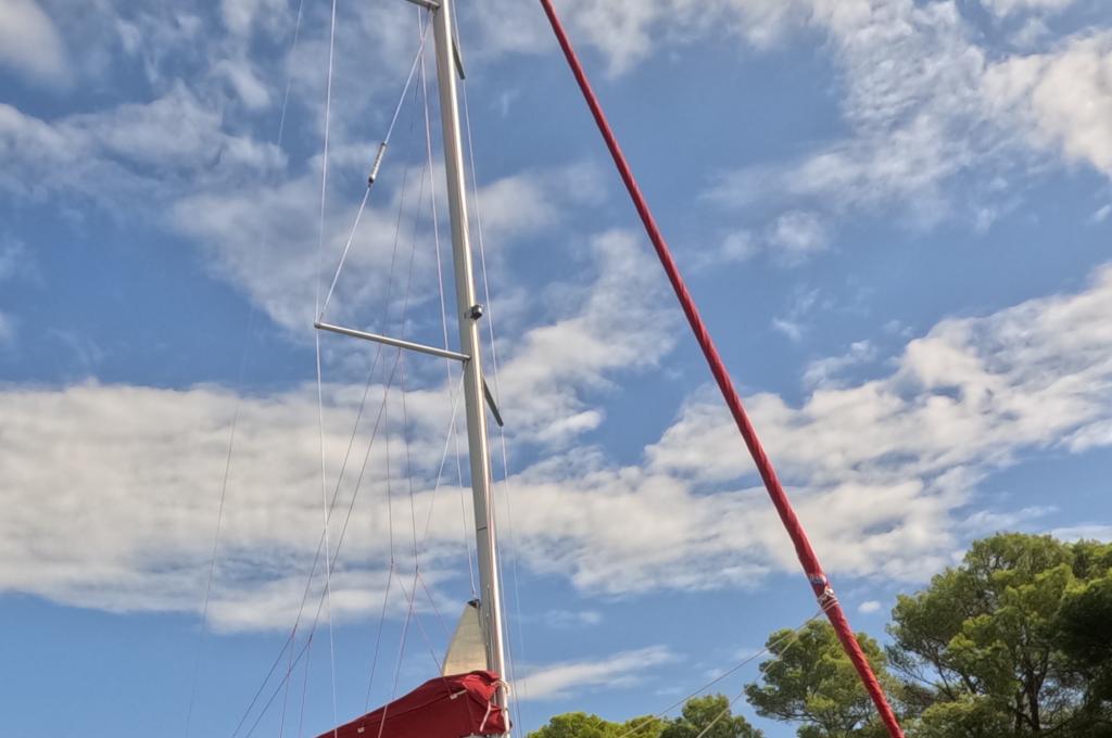 Original photo from a customer | taken on Sep 12, 2025