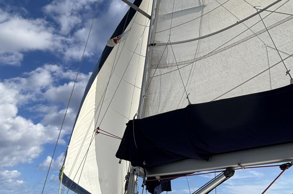 Original photo from a customer | taken on Sep 25, 2025