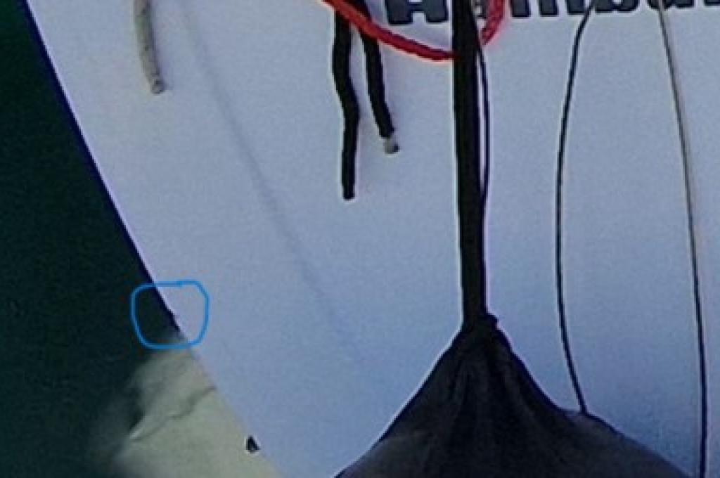 Original photo from a customer | taken on Oct 4, 2025