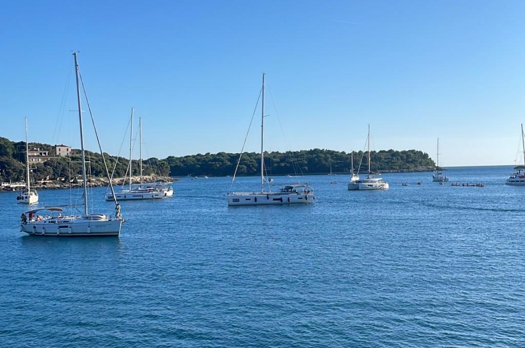 Original photo from a customer | taken on Sep 19, 2025