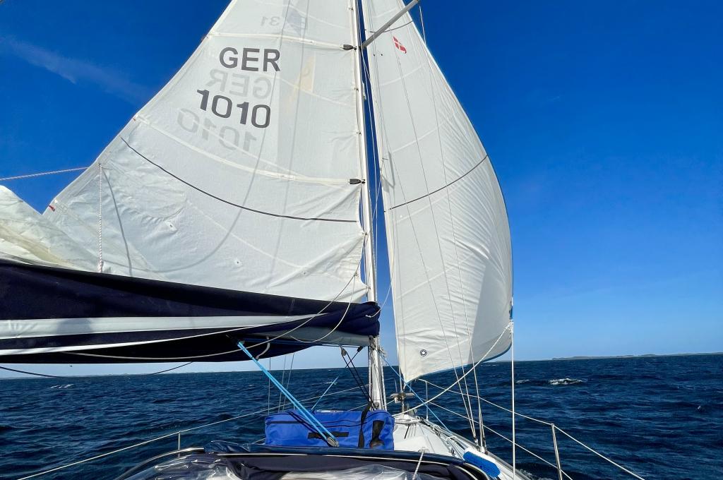 Original photo from a customer | taken on Aug 16, 2025