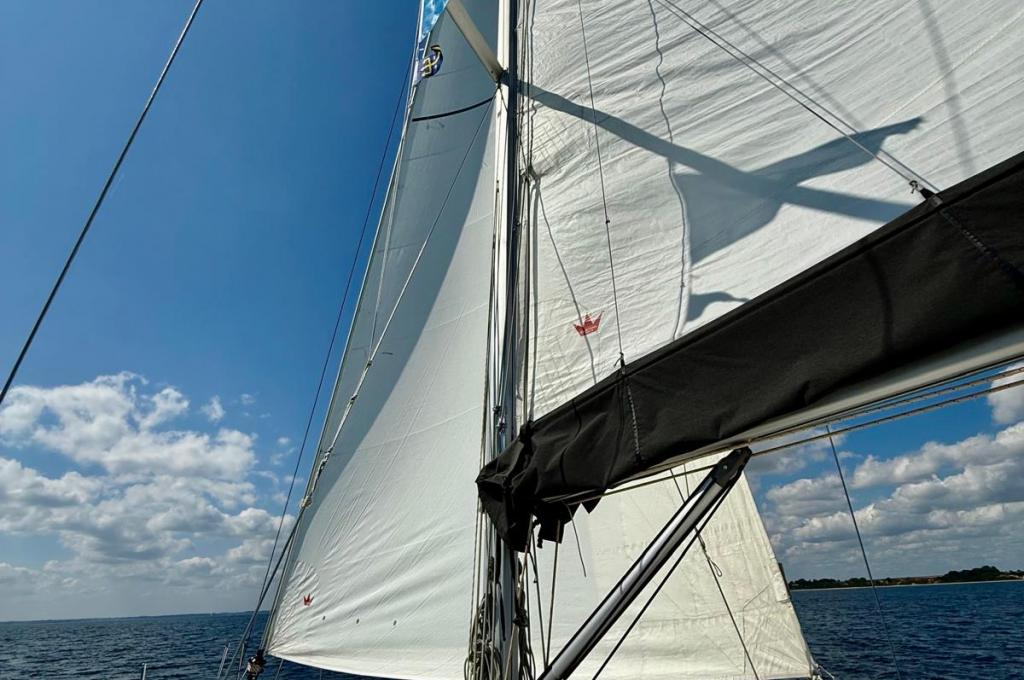 Original photo from a customer | taken on Aug 9, 2025