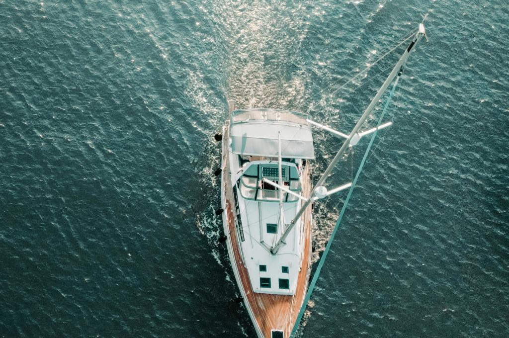 Original photo | taken on May 18, 2025