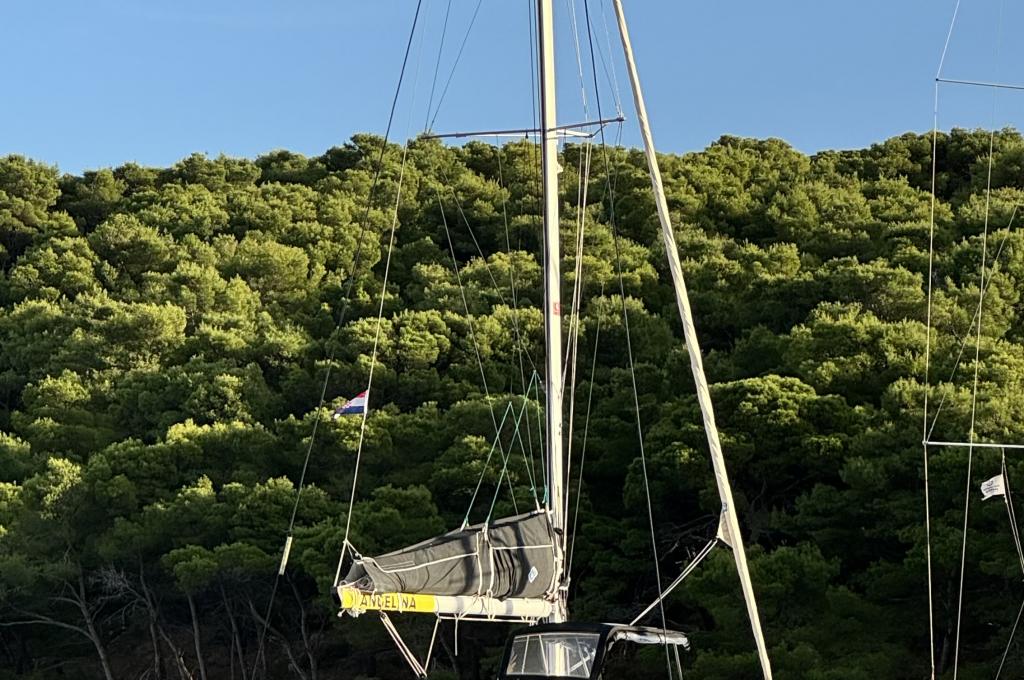 Original photo from a customer | taken on Oct 27, 2025