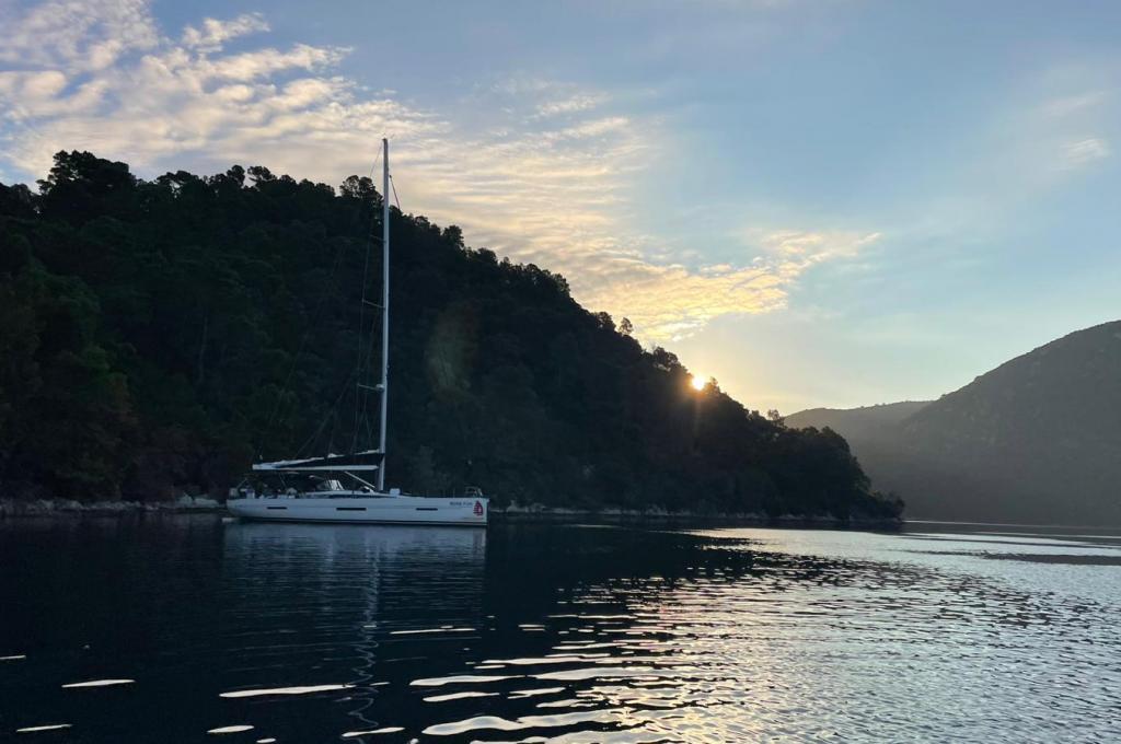 Original photo from a customer