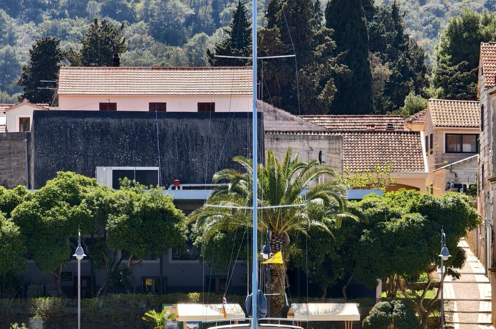 Original photo from a customer | taken on Apr 11, 2026