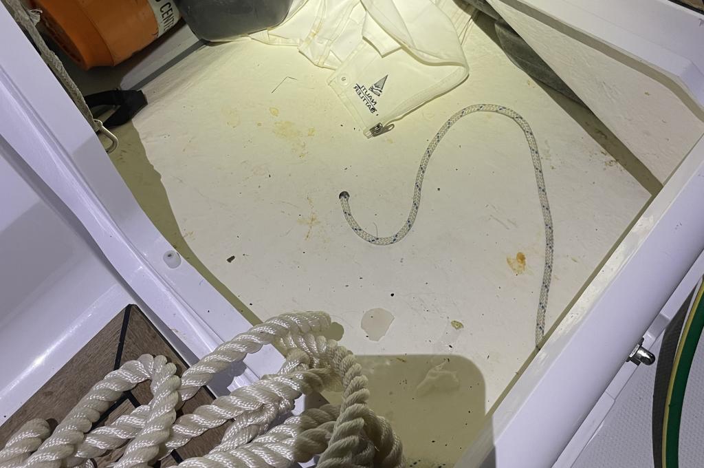 Original photo from a customer