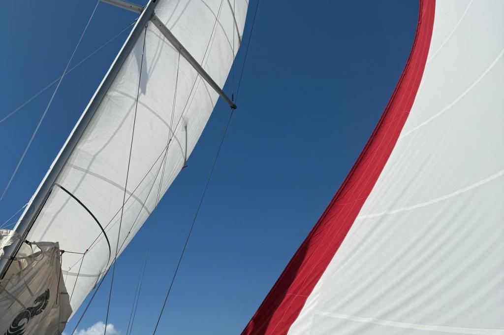 Original photo from a customer | taken on Sep 22, 2025