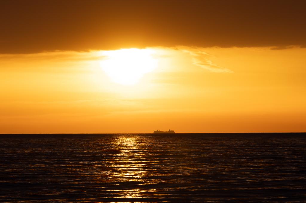 Original photo | taken on May 8, 2025