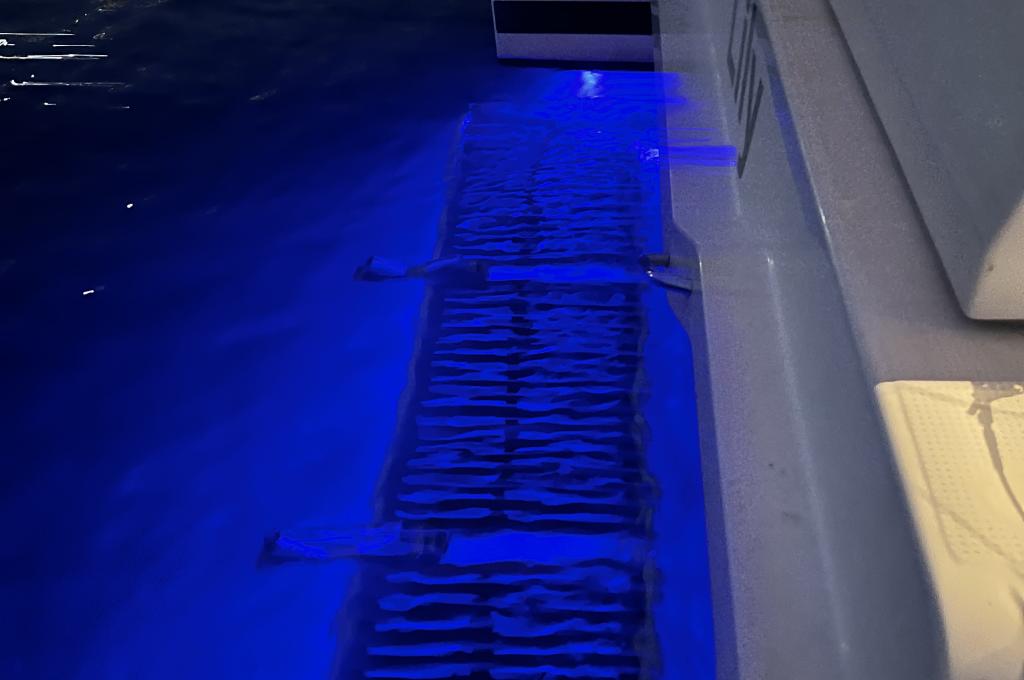 Original photo from a customer