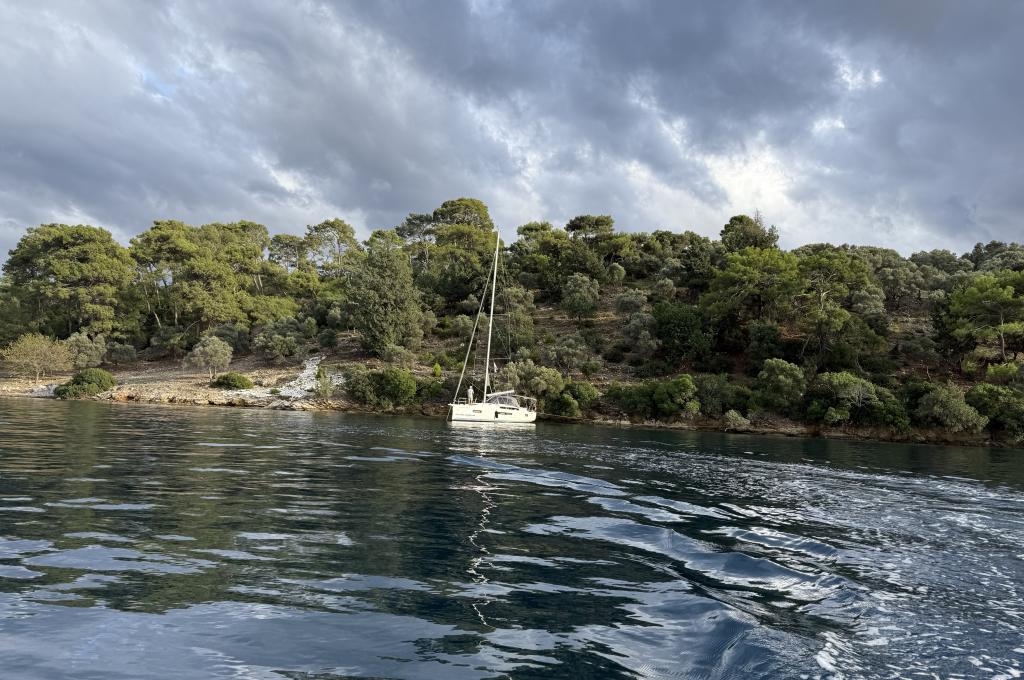 Original photo from a customer