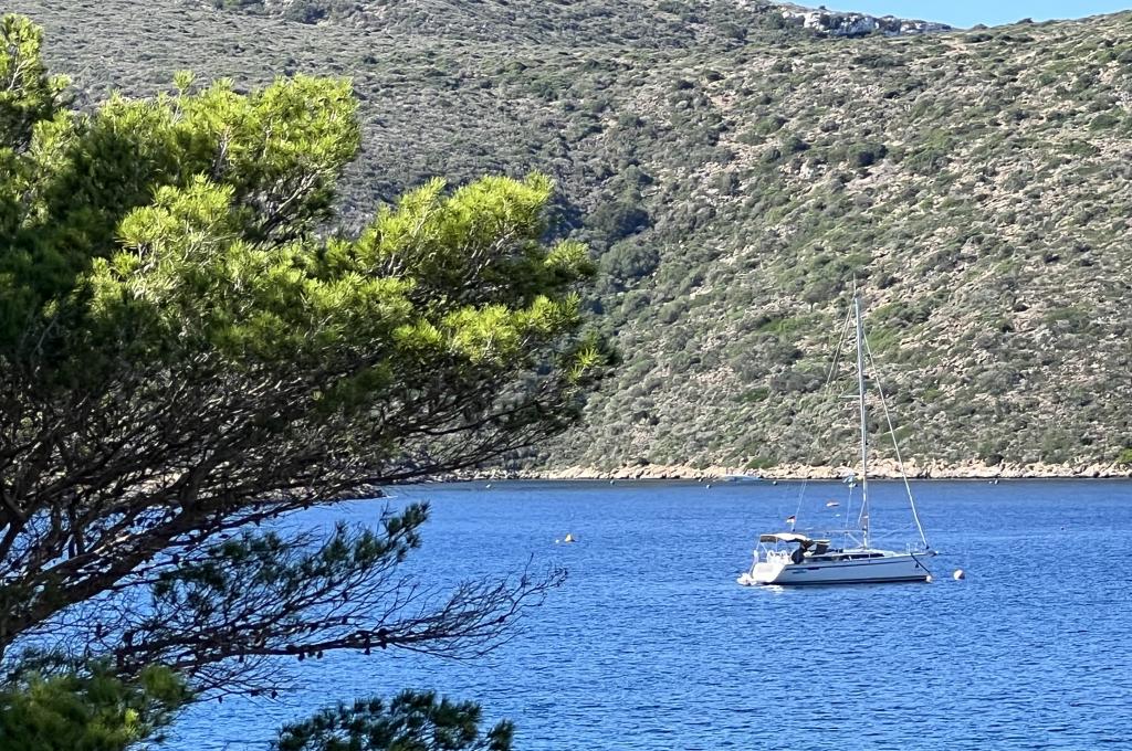 Original photo from a customer | taken on Oct 27, 2025