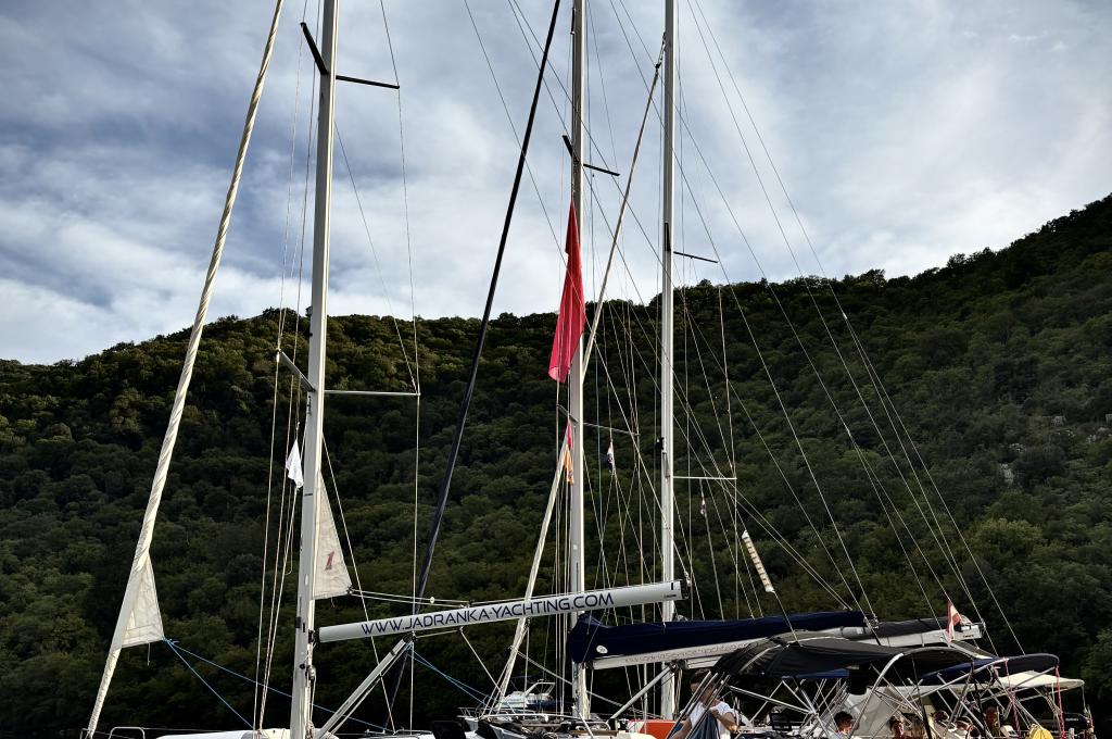 Original photo from a customer | taken on Sep 16, 2025