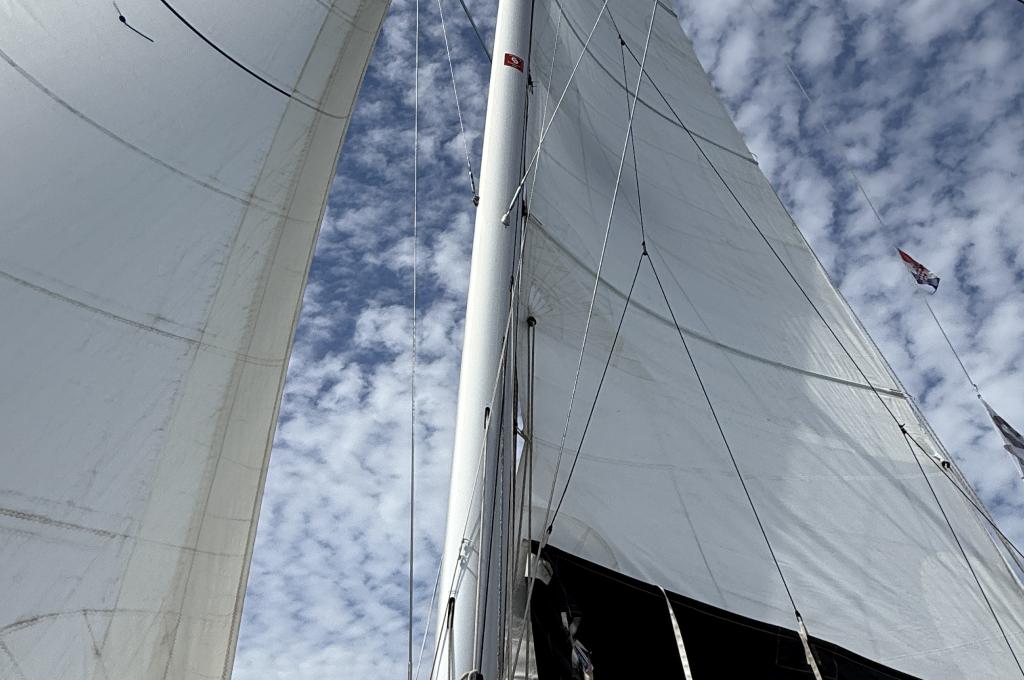 Original photo from a customer