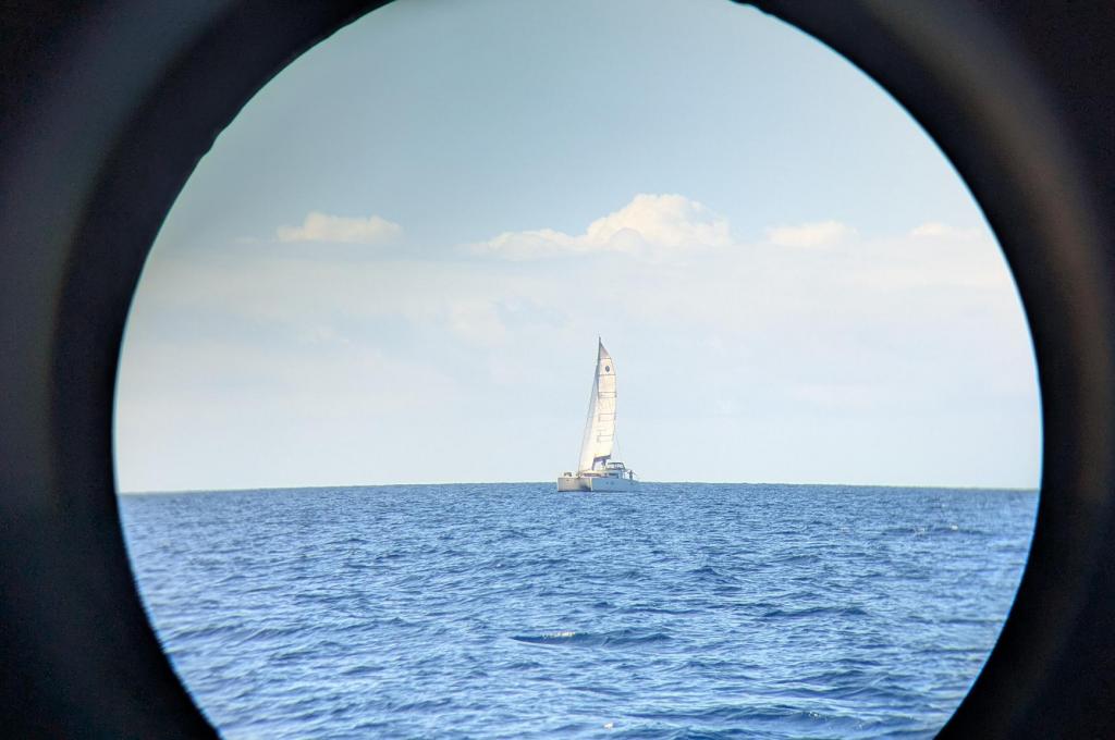 Original photo from a customer