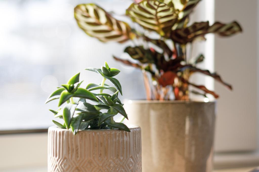 Original photo | taken on Nov 5, 2024