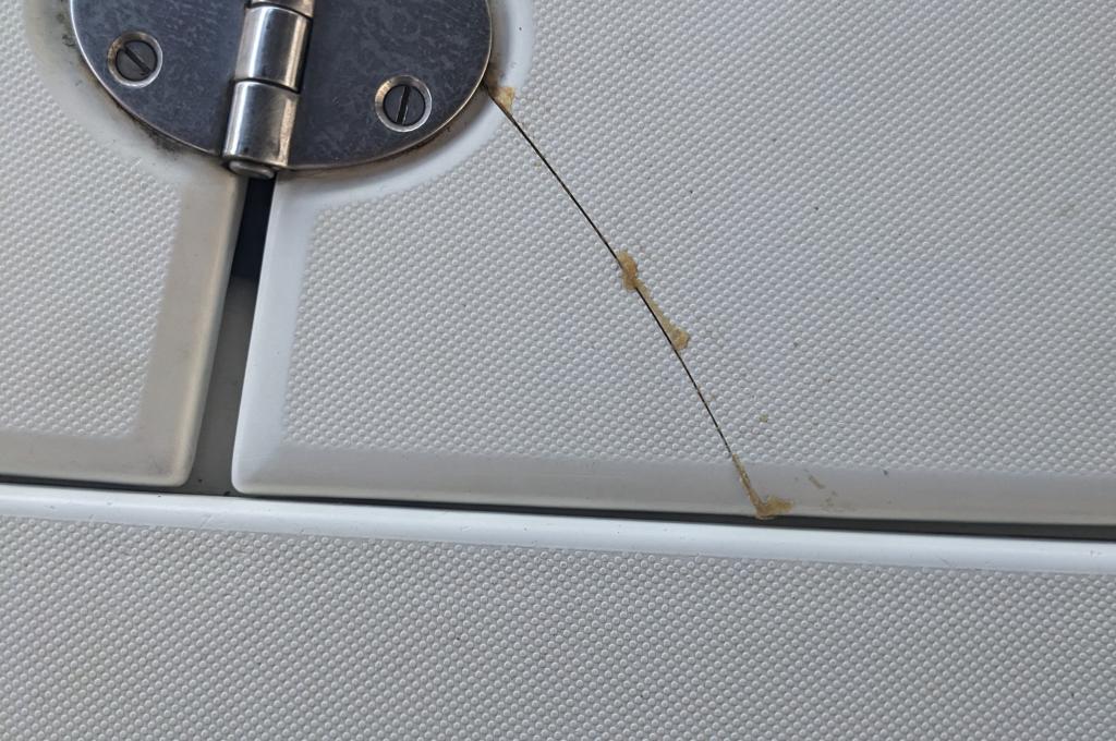 Original photo from a customer | taken on Oct 11, 2025