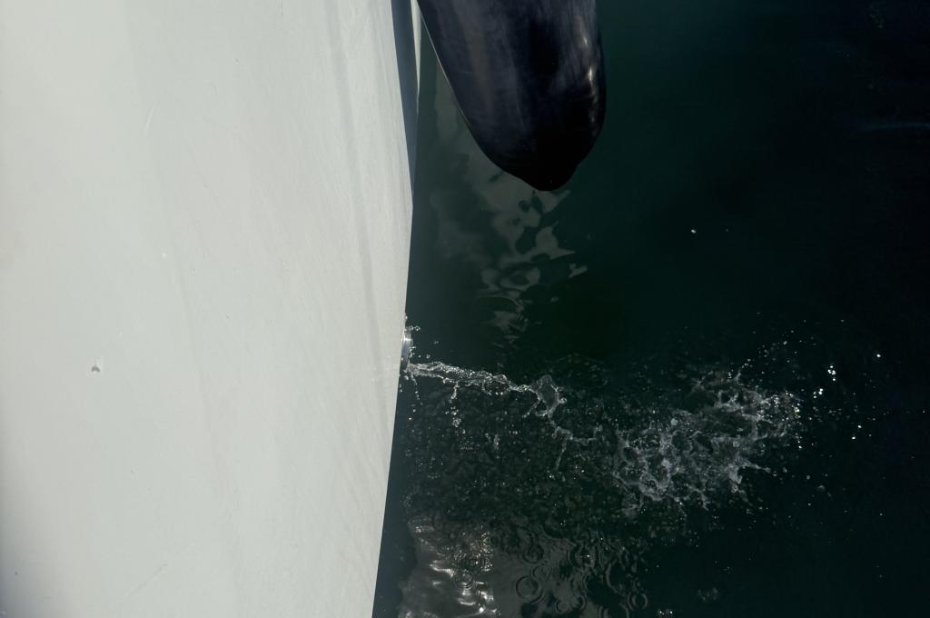 Original photo from a customer