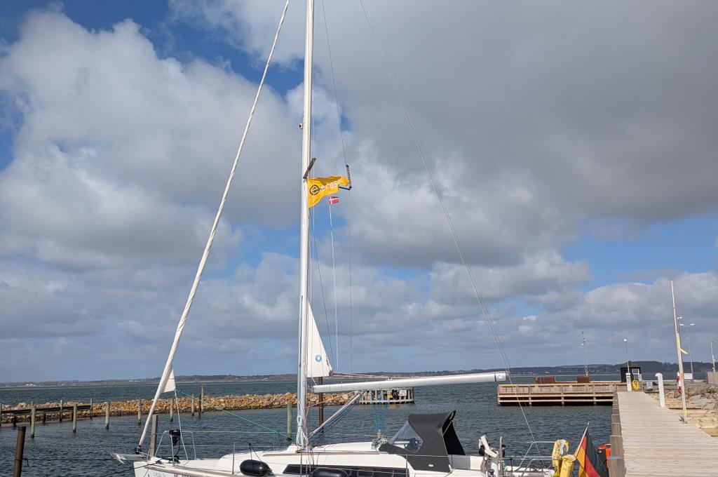 Original photo from a customer | taken on Mar 31, 2026