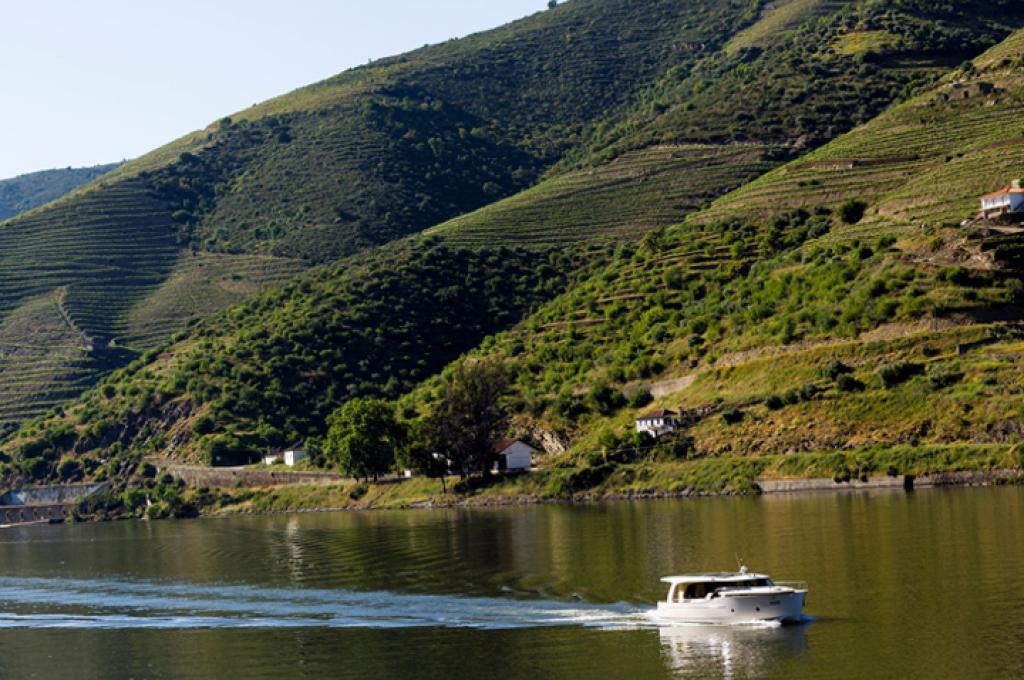 Catalog photo (may differ) | taken on May 13, 2013