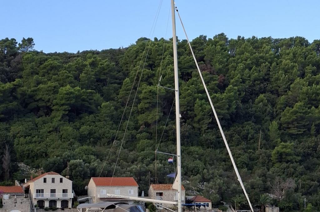 Original photo from a customer