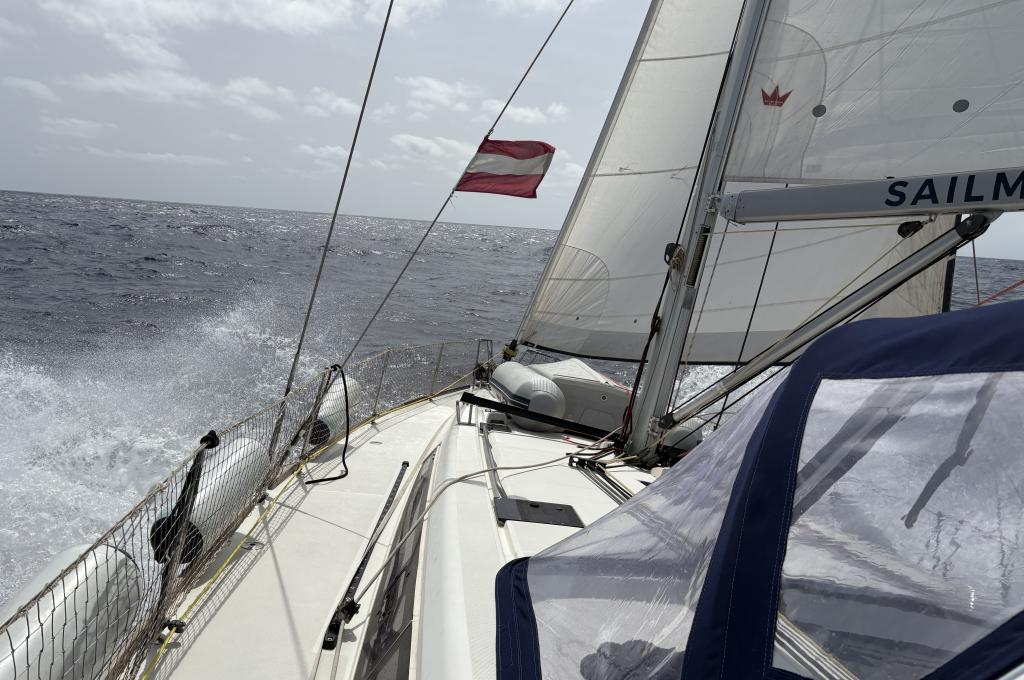 Original photo from a customer | taken on Sep 6, 2025