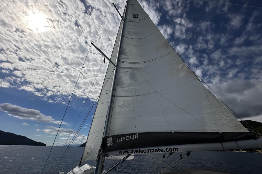 Original photo from a customer | taken on Sep 29, 2025