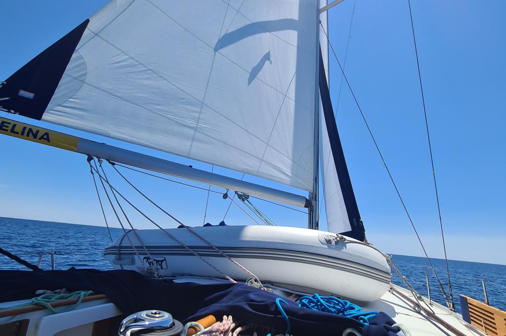 Original photo from a customer