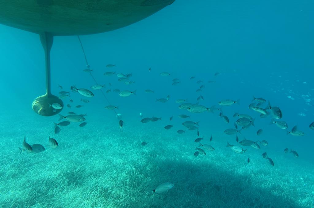 Original photo from a customer | taken on Sep 30, 2025