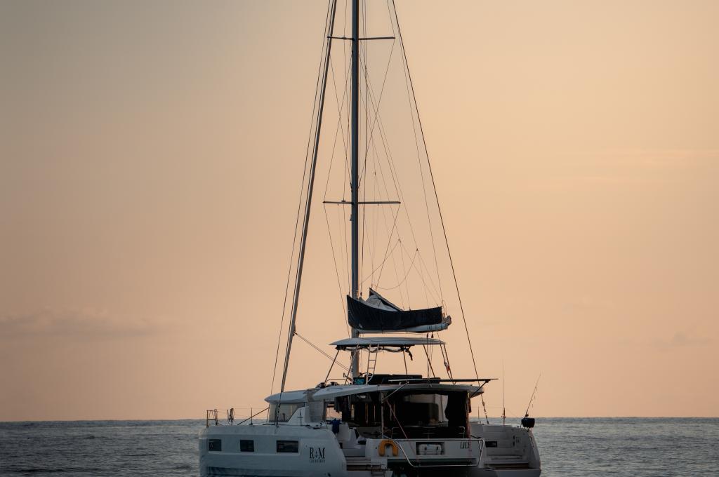 Original photo from a customer | taken on Mar 26, 2024