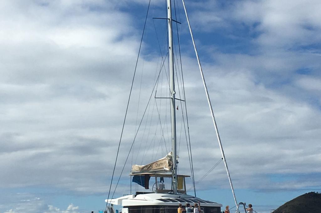 Original photo from a customer