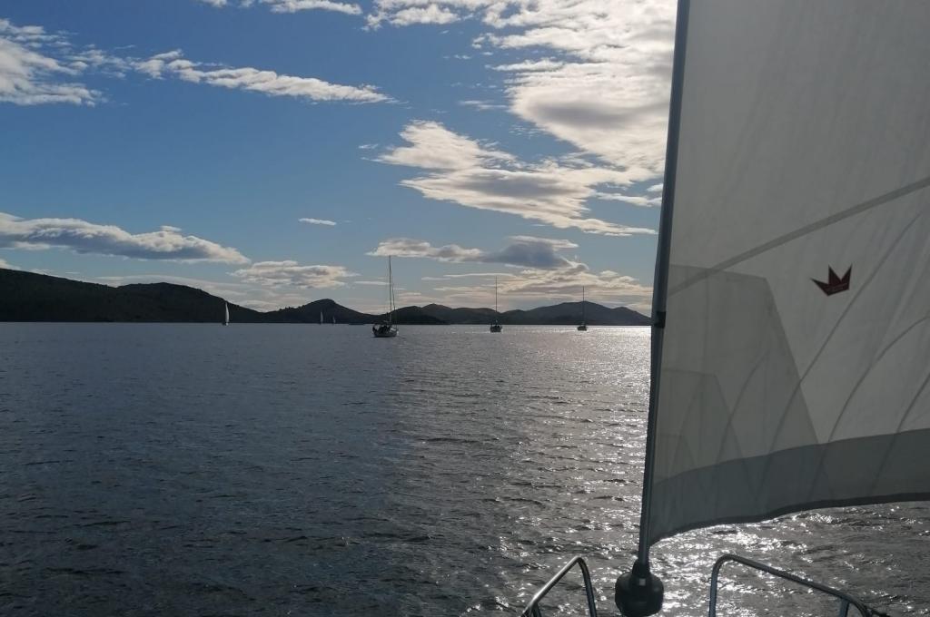 Original photo from a customer | taken on Oct 7, 2025