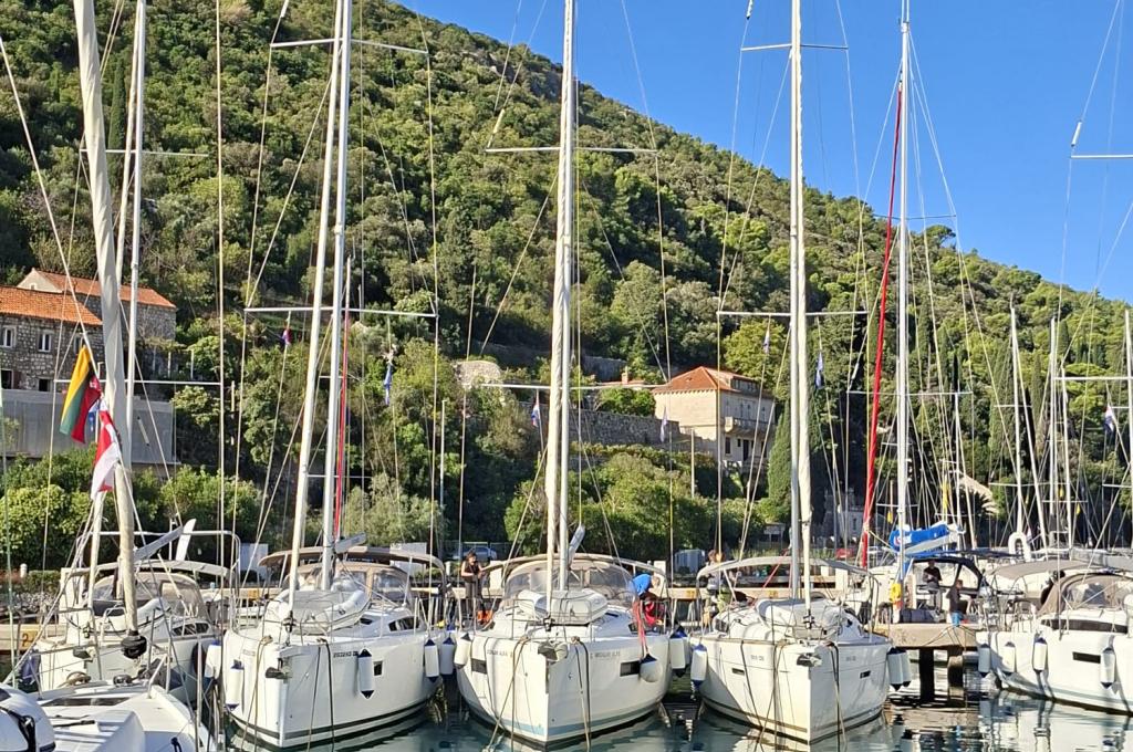 Original photo from a customer