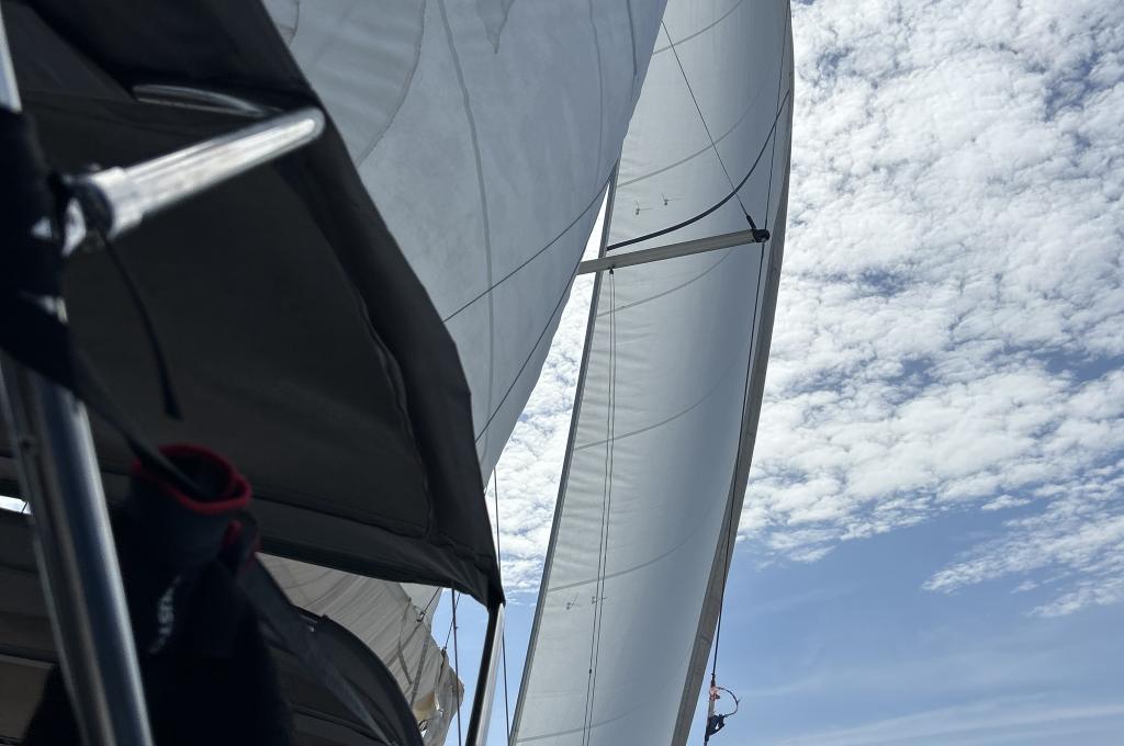 Original photo from a customer