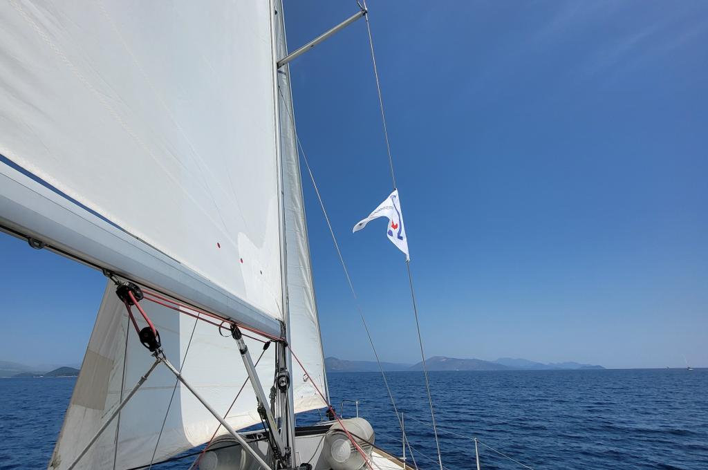 Original photo from a customer