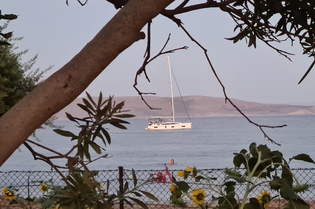 Original photo from a customer | taken on Aug 31, 2025