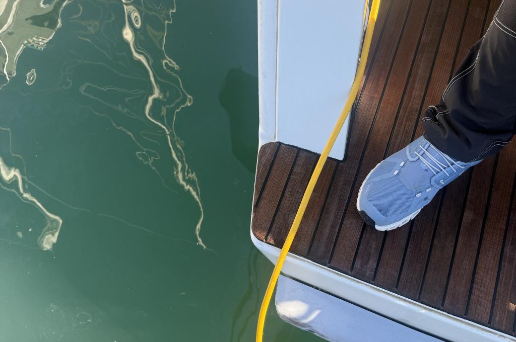 Original photo from a customer