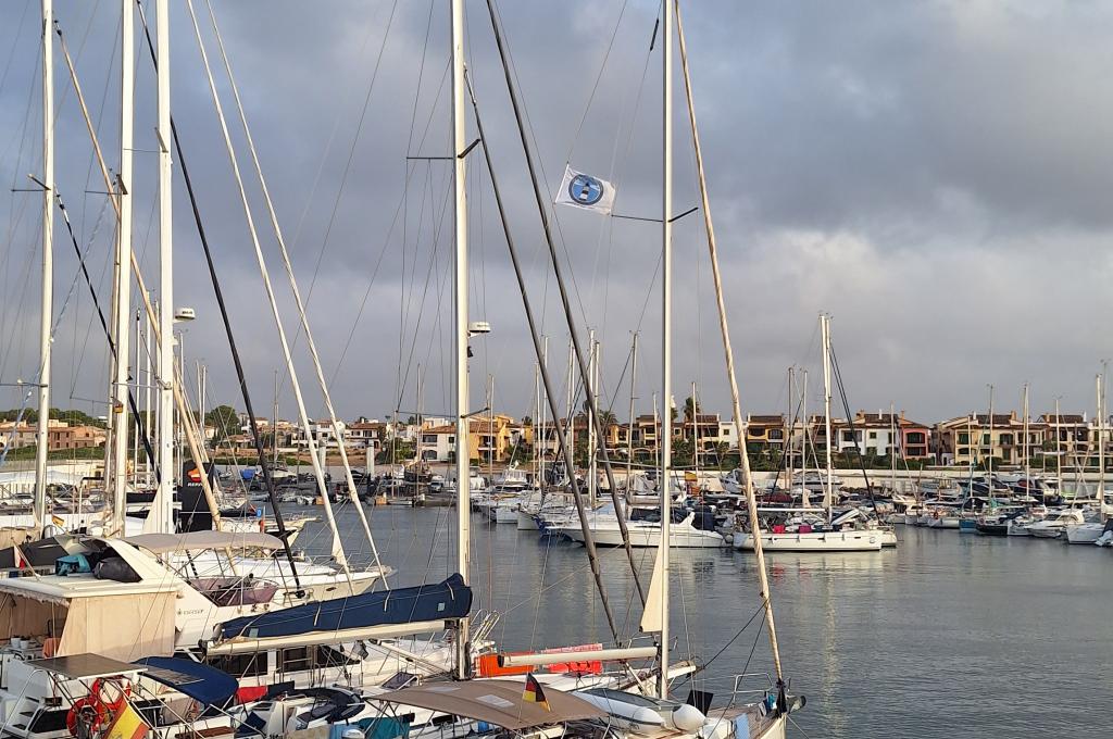 Original photo from a customer