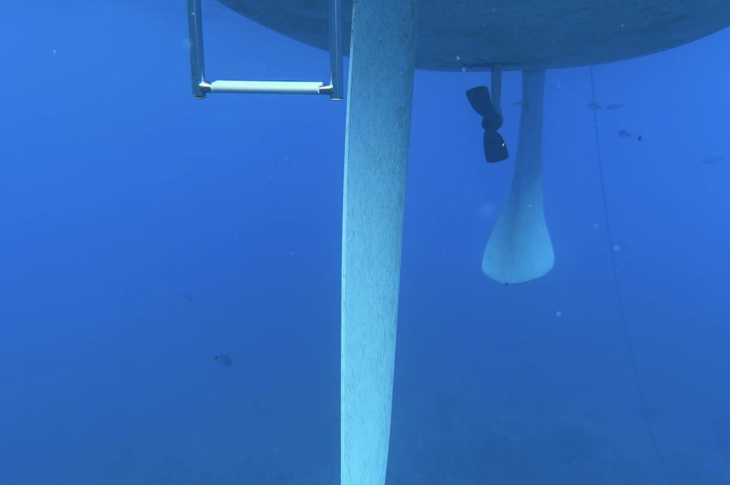 Original photo from a customer