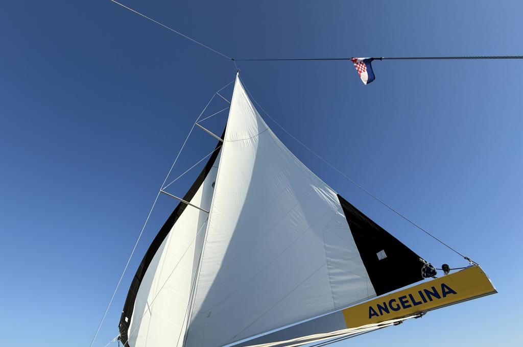 Original photo from a customer | taken on Aug 25, 2025