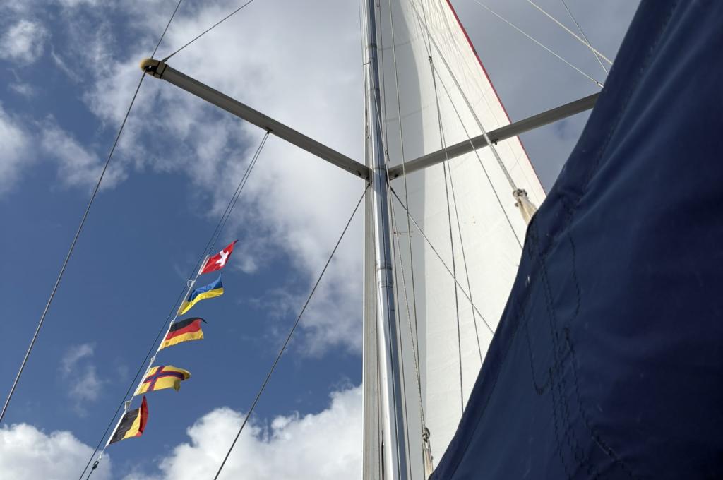 Original photo from a customer | taken on Jul 22, 2025