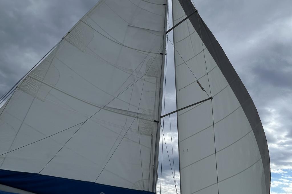 Original photo from a customer | taken on Oct 1, 2025