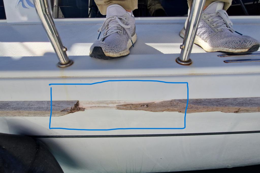 Original photo from a customer | taken on Oct 4, 2025