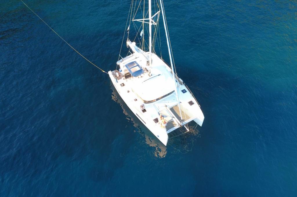 Original photo from a customer | taken on Sep 2, 2025