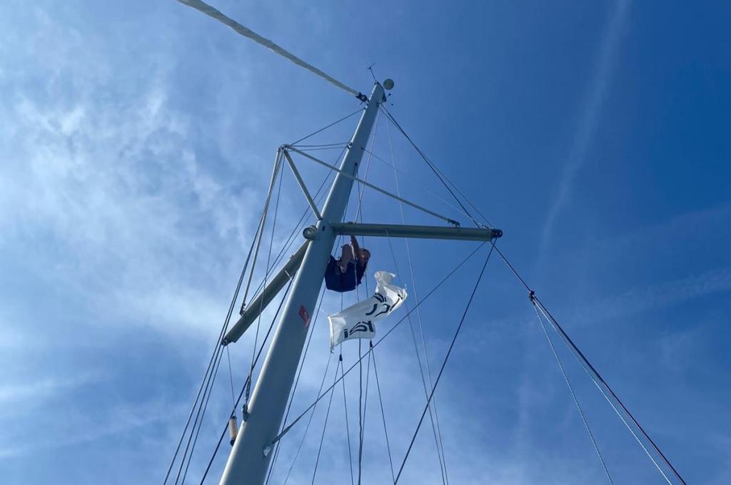 Original photo from a customer | taken on Oct 13, 2025