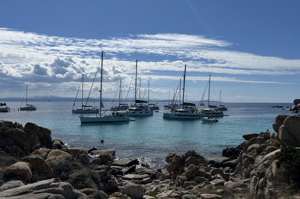 Original photo from a customer | taken on Sep 29, 2025