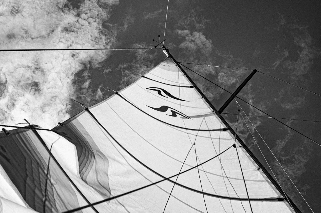 Original photo from a customer | taken on Aug 9, 2025