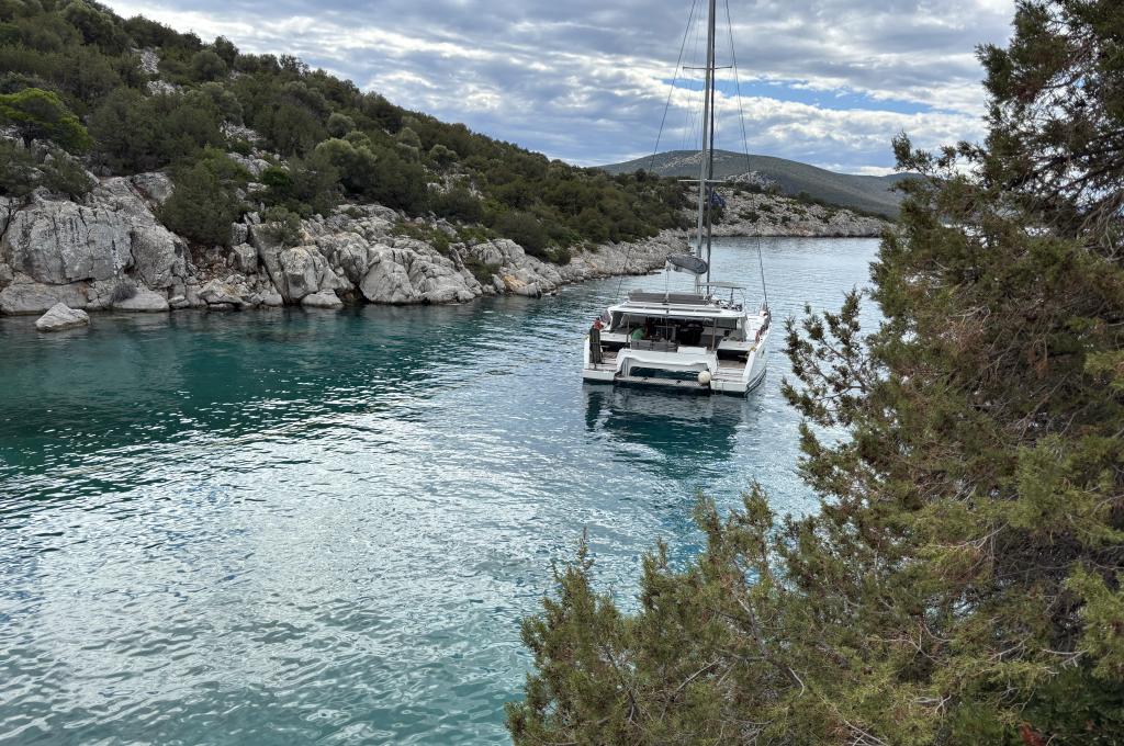 Original photo from a customer | taken on Oct 8, 2025