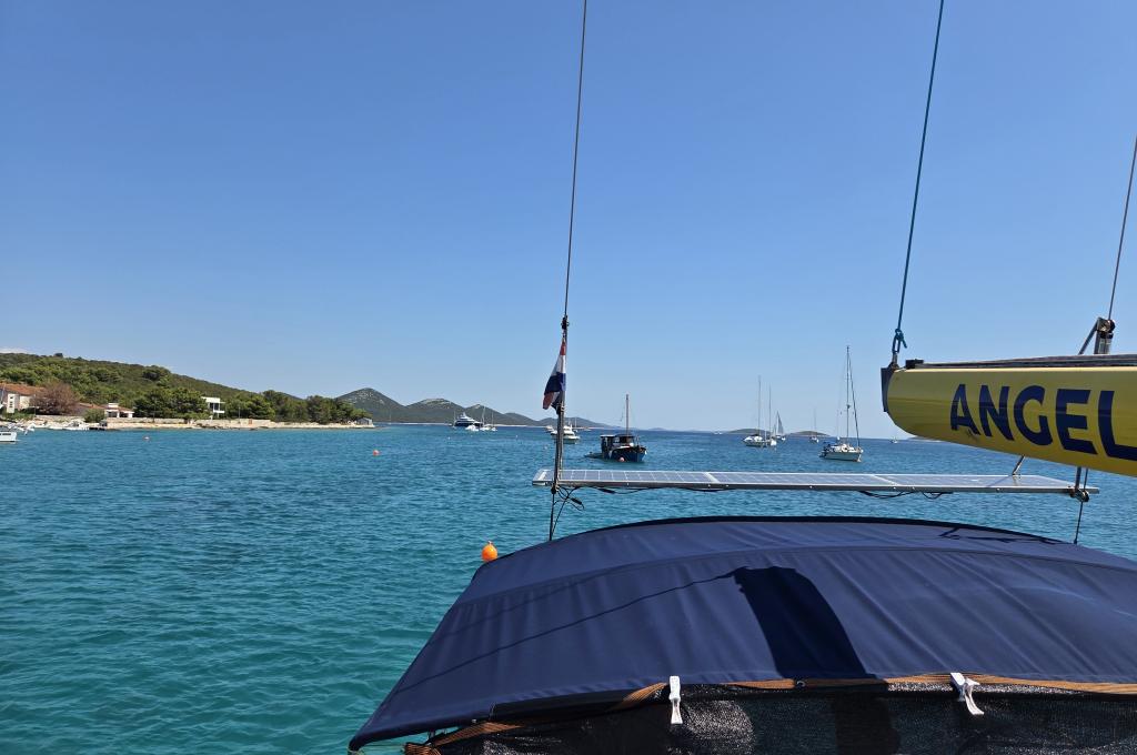 Original photo from a customer | taken on Jun 30, 2025