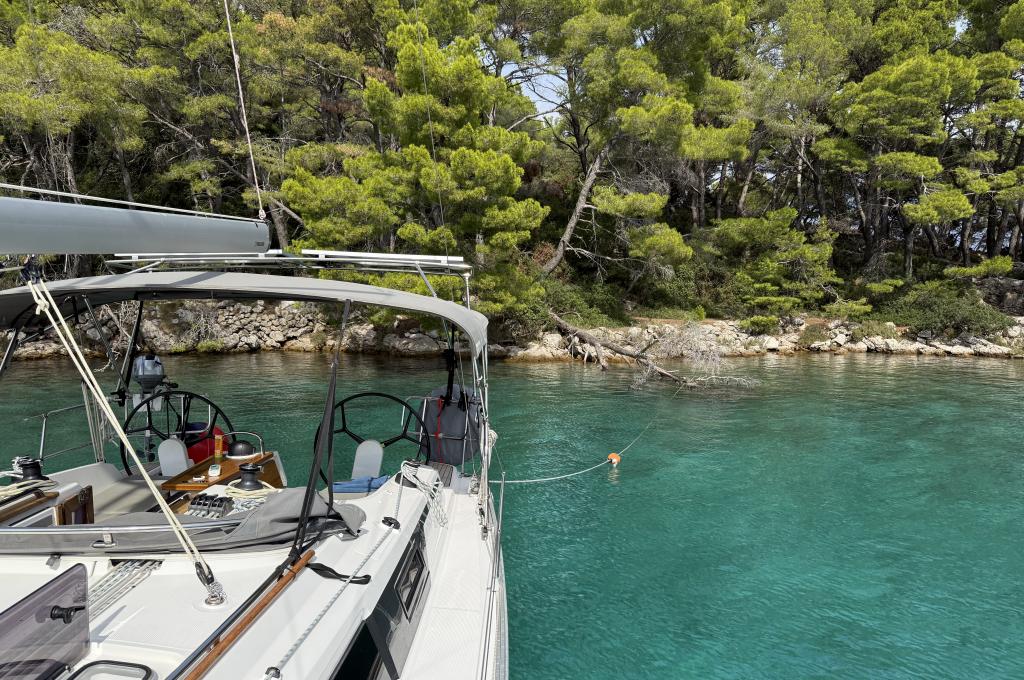 Original photo from a customer | taken on Sep 30, 2025